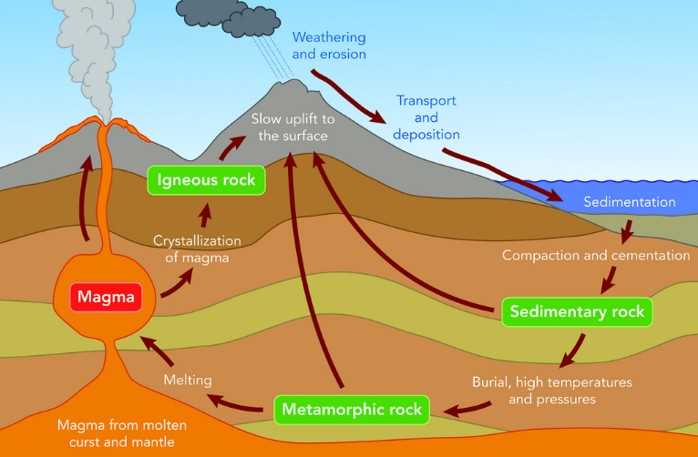 Sedimentary Rock Diagram For Kids